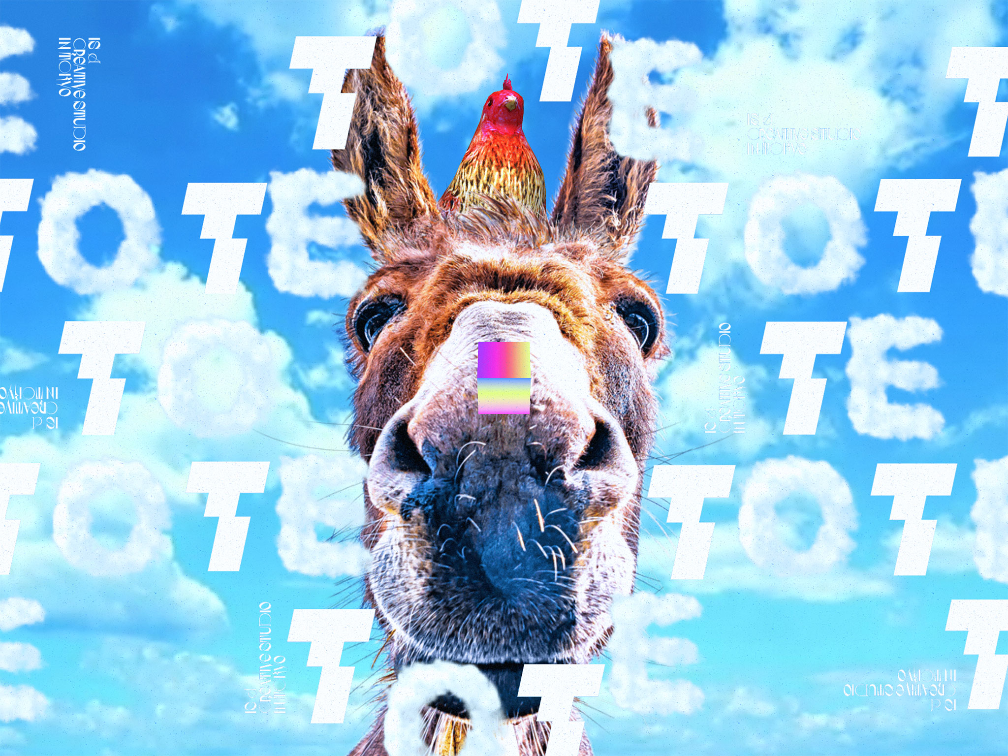 tote inc. | interactive design studio