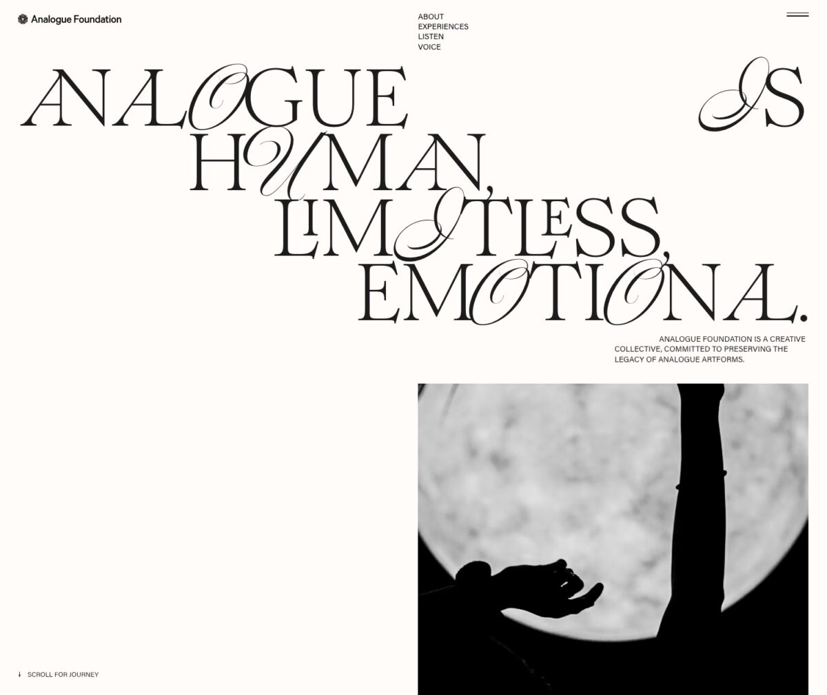 Analogue Foundation