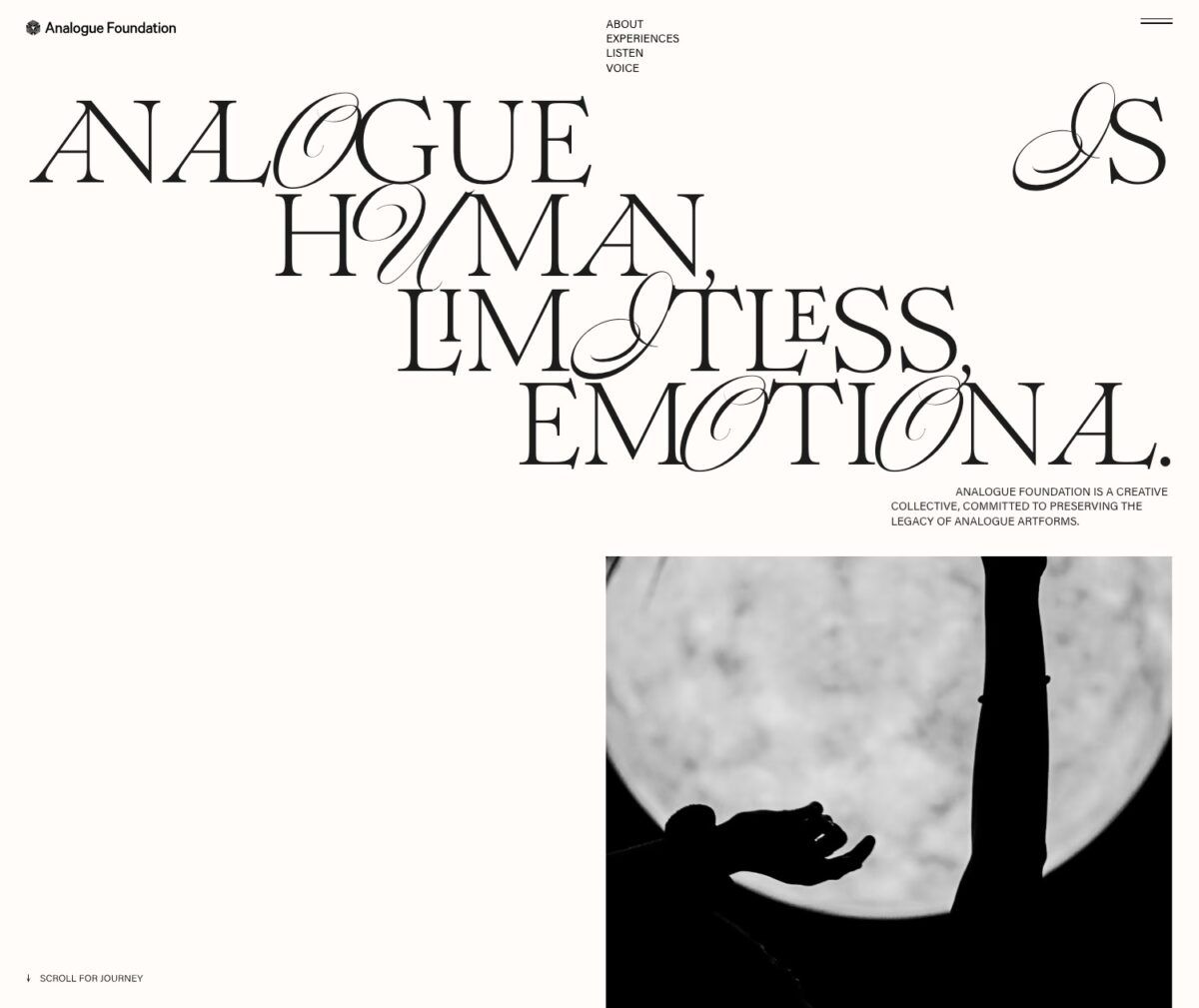 Analogue Foundation